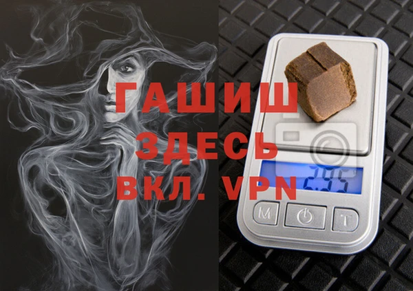 PSILOCYBIN Белокуриха