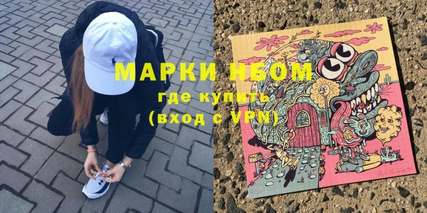 PSILOCYBIN Белокуриха