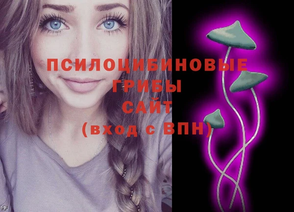 спиды Белоозёрский