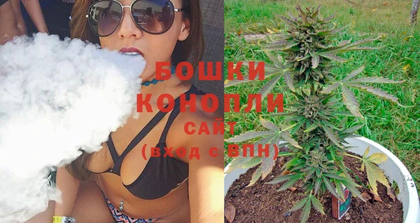 PSILOCYBIN Белокуриха